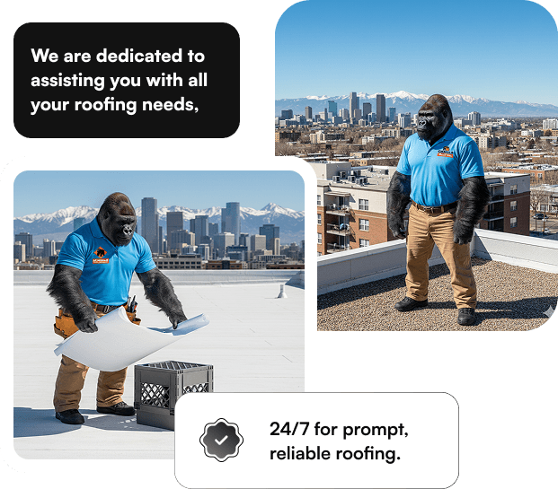 Professional roofing installation service